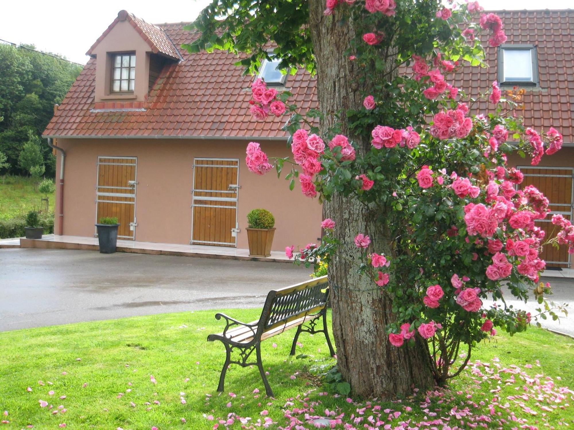 Hotel Du Moulin Aux Draps Desvres Exterior photo